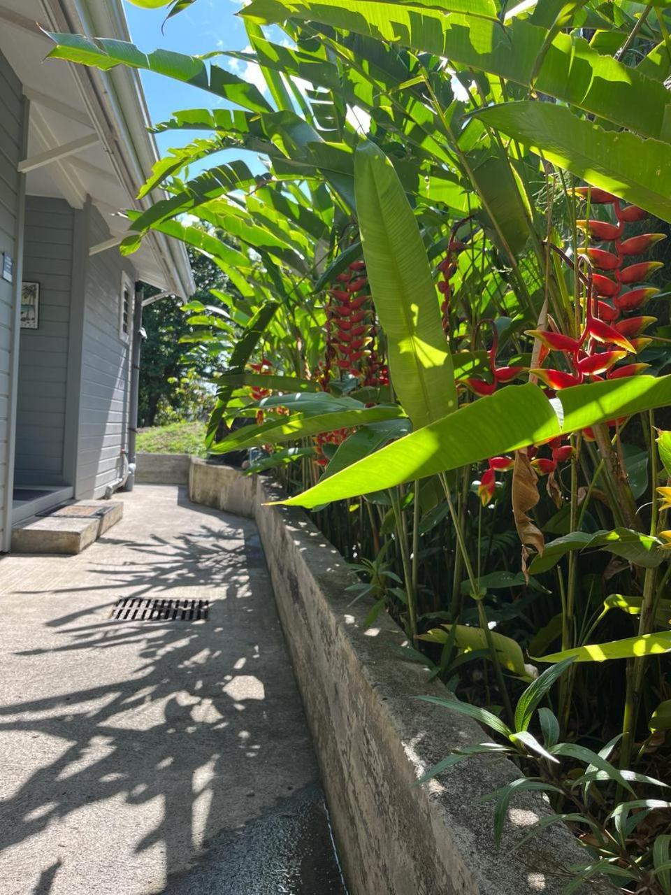 Ti Kaz Karaib Villa Trois-Rivieres Bagian luar foto